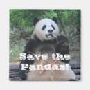 Recherche de zoo magnets Panda