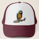 Recherche de perroquets casquettes Tropical