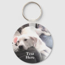 Recherche de labrador porteclés Drôle