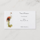 Recherche de flamant cartes visite Professionnel