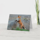Recherche de renard mignon vœux cartes Sauvage