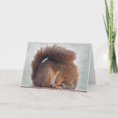 Recherche de humour yoga vœux cartes Animal