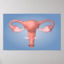 Recherche de imagerie médicale posters Médecine