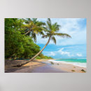 Recherche de palm trees posters Sea