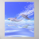 Recherche de mammifères marins posters Animaux