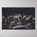 Zoek naar wolfs posters Vintage