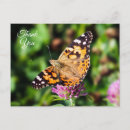 Recherche de ailes papillon vœux cartes Nature
