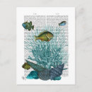 Recherche de coquillages cartes postales Vie marine