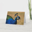 Recherche de émeraude vœux cartes Oiseau