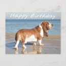 Recherche de basset hound anniversaire cartes Chien