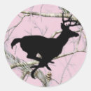 Recherche de mâles autocollants Cerfs communs
