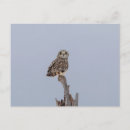 Recherche de oreilles cartes postales Animal