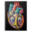 Recherche de anatomie carnets Moderne