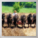 Recherche de percheron posters Cheval