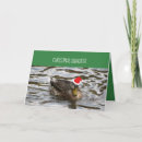 Recherche de quackers Noël