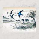 Recherche de hirondelles cartes postales Nature