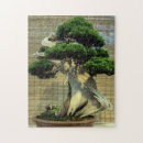 Recherche de bonsai puzzles Nature
