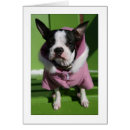 Recherche de ski de chien cartes postales Neige