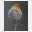 Recherche de oiseaux de merle de noël Photographie
