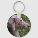 Zoek naar weimaraner sleutelhangers Hond