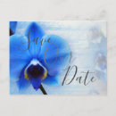 Recherche de orchids cartes postales Bride