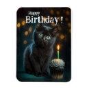 Recherche de chat heureux magnets Chaton