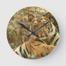 Recherche de le faune horloges Extérieur