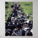 Zoek naar melk posters Drink