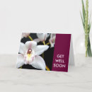 Recherche de orchidées blanches vœux cartes Fleurs