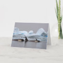 Recherche de orques vœux cartes Faune