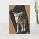 Recherche de loup vœux cartes Chien