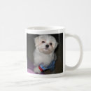 Recherche de soleil bonjour tasses Café