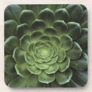 Recherche de ivrogne dessous de verres Feuille