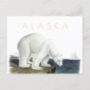 Recherche de ours vintage cartes postales Travel