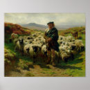 Recherche de rosa bonheur posters Sheep