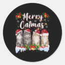 Recherche de chats de noël autocollants Correspondance