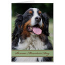 Zoek naar mountain dog kaarten Foto