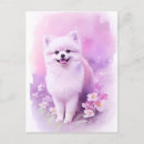 Recherche de chien pomeranian posters Rose