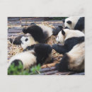 Recherche de china cartes postales Chine