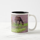 Recherche de domaine tasses Les etats unis