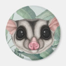 Recherche de marsupiaux magnets Planeur à sucre