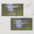 Recherche de crocodiles cartes visite Faune