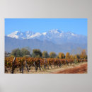 Recherche de établissements posters Vignoble