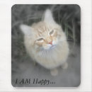 Recherche de chat humoristique tapis souris Chaton