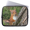 Recherche de cas ordinateurs portables protections Photographie