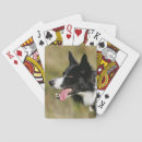 Recherche de headshot jeux de cartes Dog