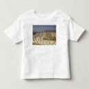 Recherche de précolombien tshirts Statues