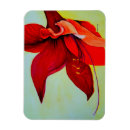 Recherche de amaryllis magnets Rouge