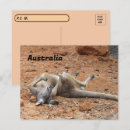 Zoek naar kangoeroe x briefkaarten Australië