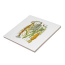 Zoek naar botanische illustratie tegels Keuken